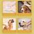Intimeg Distributeur de savon mousse pour animaux de compagnie