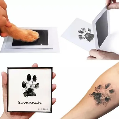 IntiMeg 4er-Set Stempel mit Tierpfotenabdrücken IntiMeg 4er-Set Stempel mit Tierpfotenabdrücken