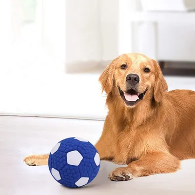 Intimeg Balle jouet pour chien