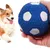 Intimeg Balle jouet pour chien