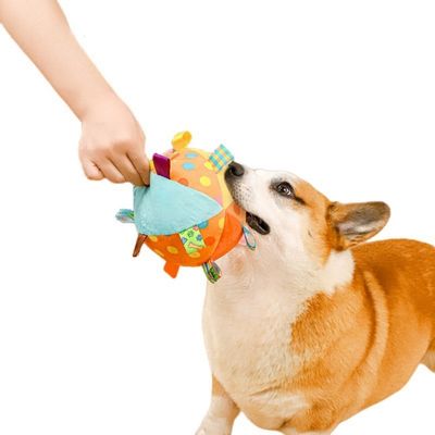 ZenPets Balle jouet grinçante pour chien