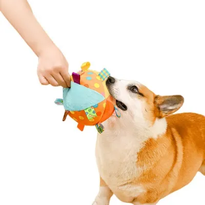 ZenPets Balle jouet grinçante pour chien