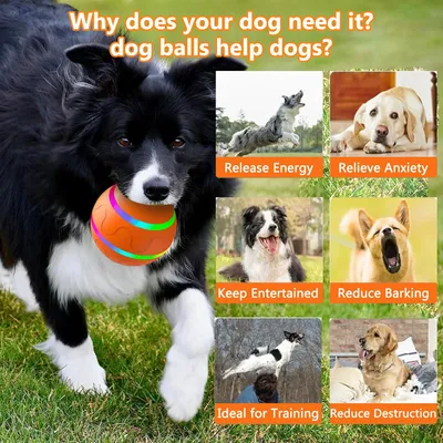 MCBOSON Balle interactive pour chien - Jouet intelligent