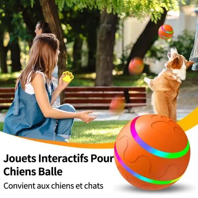 MCBOSON Balle interactive pour chien - Jouet intelligent