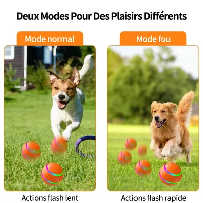 MCBOSON Balle interactive pour chien - Jouet intelligent