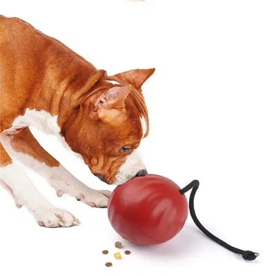 ZenPets Balle à nourriture pour chiens