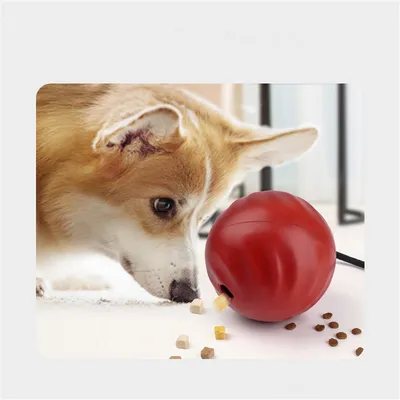 ZenPets Balle à nourriture pour chiens