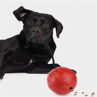ZenPets Balle à nourriture pour chiens