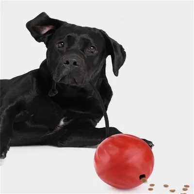 ZenPets Balle à nourriture pour chiens