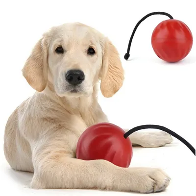 ZenPets Balle à nourriture pour chiens