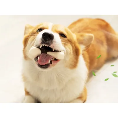 Bâtonnets à mâcher pour chien IntiMeg