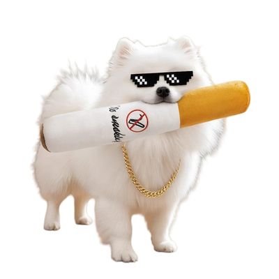 ZenPets Jouet en peluche pour chien en forme de cigarette