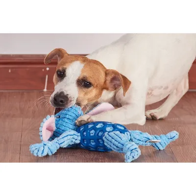 IntiMeg Jouet pour chien - Lapin en tissu et caoutchouc