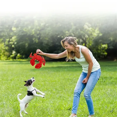 IntiMeg Jouet pour chien - Crabe impérial en peluche