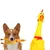 ZenPets Jouet pour chien poulet grogneur