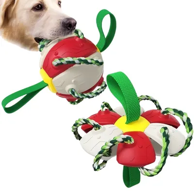 IntiMeg Jouet pour chien Frisbee Ball IntiMeg Jouet pour chien Frisbee Ball