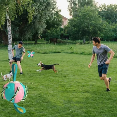 IntiMeg Jouet pour chien Frisbee Ball