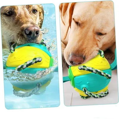 IntiMeg Jouet pour chien Frisbee Ball