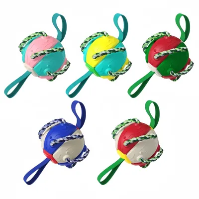 IntiMeg Jouet pour chien Frisbee Ball