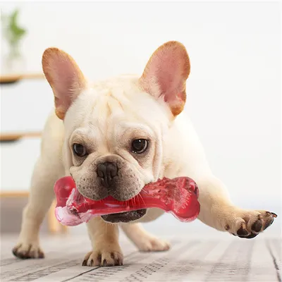 ZenPets Jouet couineur en forme d'os qui fuit