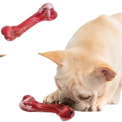 ZenPets Jouet couineur en forme d'os qui fuit