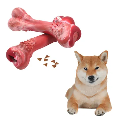 ZenPets Jouet couineur en forme d'os qui fuit