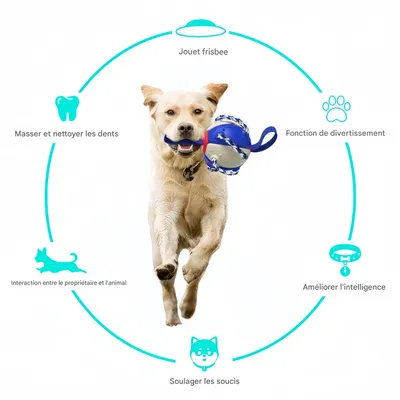 IntiMeg Jouet pour chien Frisbee Ball