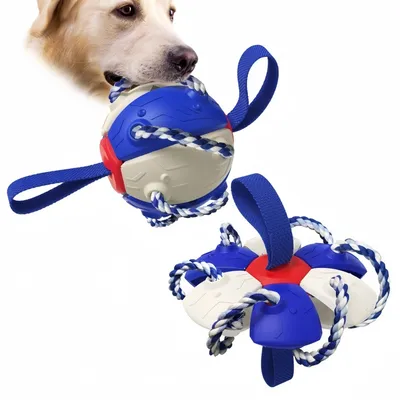 IntiMeg Jouet pour chien Frisbee Ball