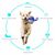 IntiMeg Jouet pour chien Frisbee Ball