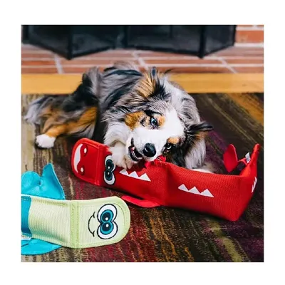 IntiMeg Jouet interactif pour chien