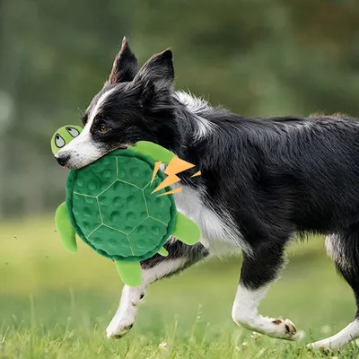 Jouet en peluche pour chien - Tortue, grinçant