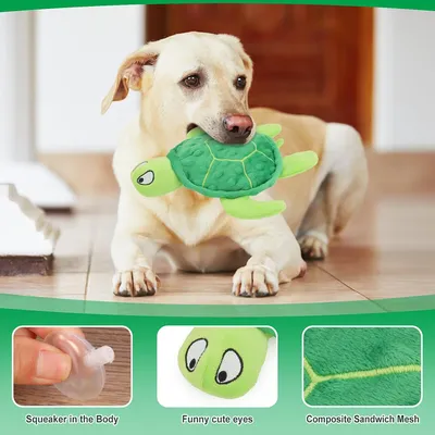 Jouet en peluche pour chien - Tortue, grinçant