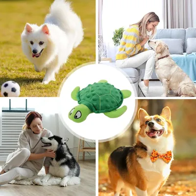 Jouet en peluche pour chien - Tortue, grinçant