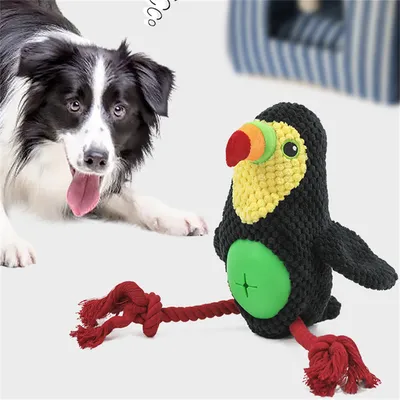 ZenPets Jouet à bruit et à friandises pour animaux de compagnie