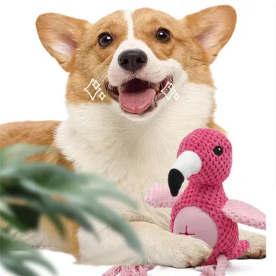 ZenPets Jouet à bruit et à friandises pour animaux de compagnie