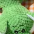 ZenPets Jouet en peluche pour grignoter et interagir