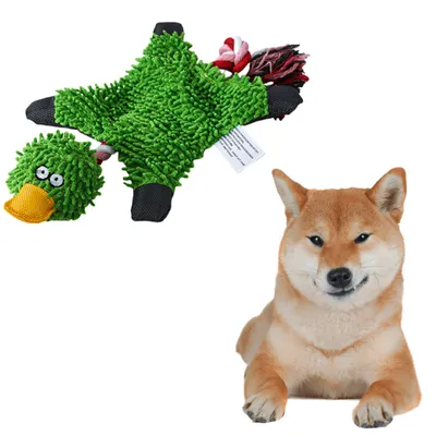 ZenPets Jouet en peluche canard en mèche de balais