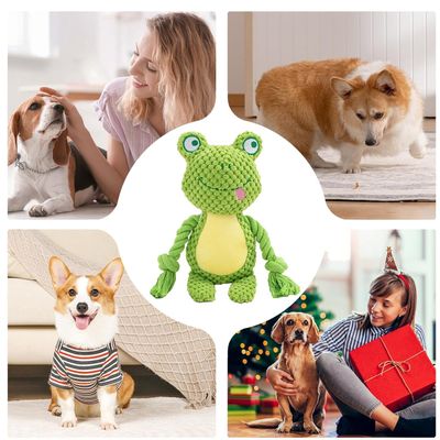 Jouets en corde pour chien - Couineurs, de dentition