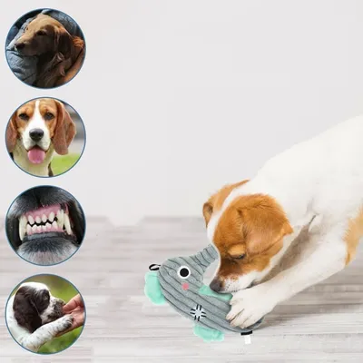 IntiMeg Jouet en peluche pour chien