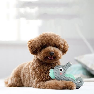 IntiMeg Peluche para perros