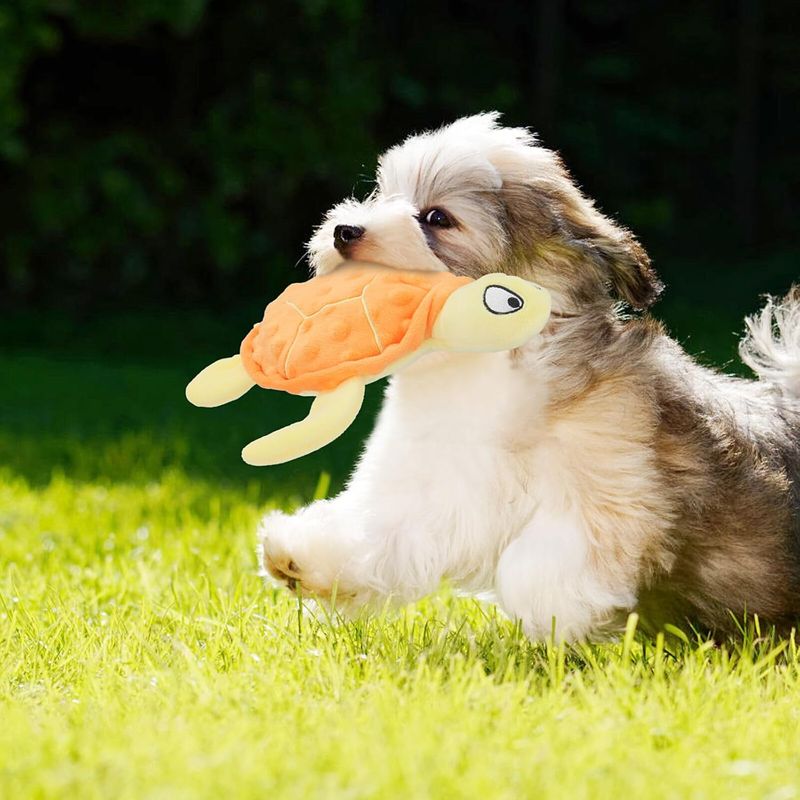Jouet en peluche pour chien - Tortue, grinçant