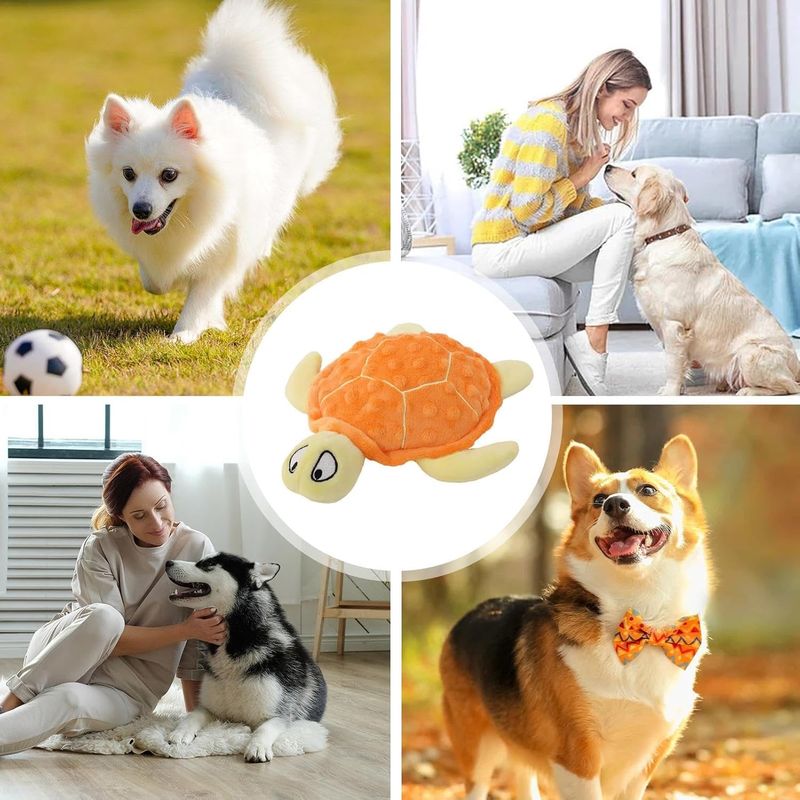 Jouet en peluche pour chien - Tortue, grinçant