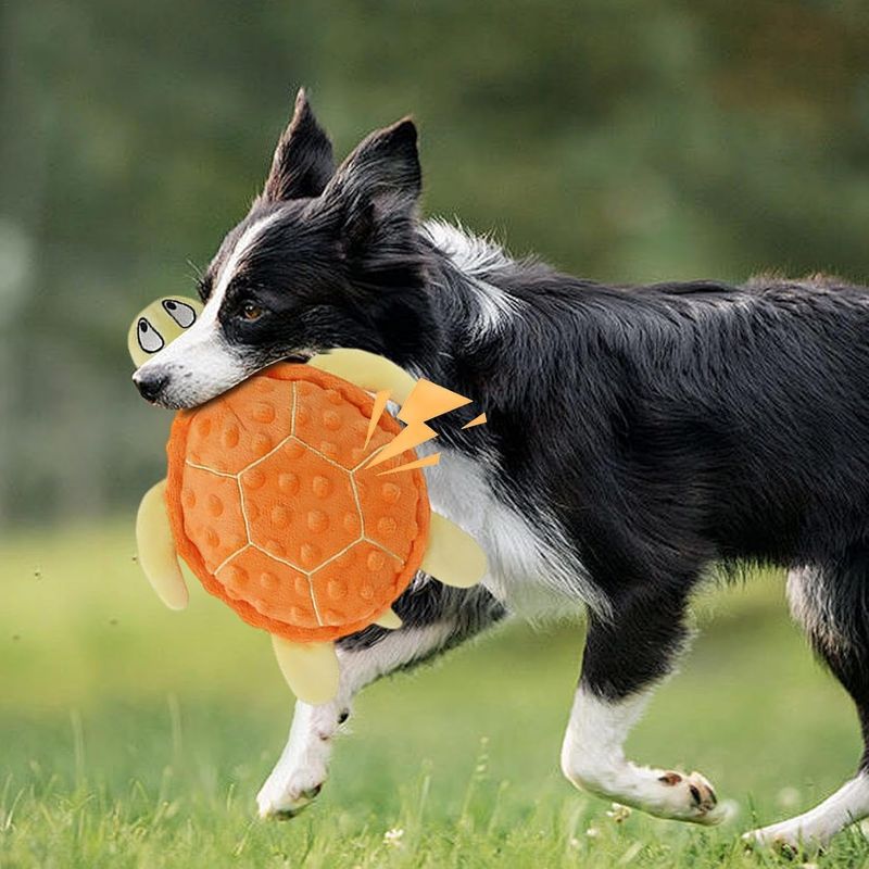 Jouet en peluche pour chien - Tortue, grinçant