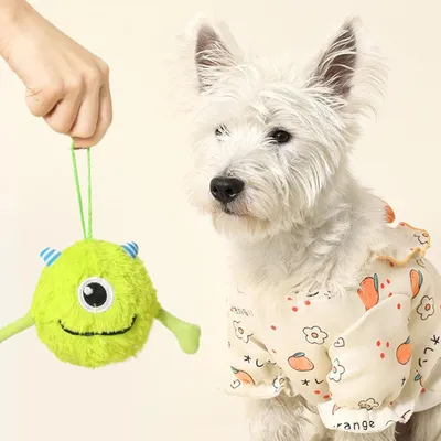 Jouets en peluche pour chien - Interactifs, avec son, portables