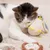ZenPets Peluche chat à la menthe ZenPets Peluche chat à la menthe