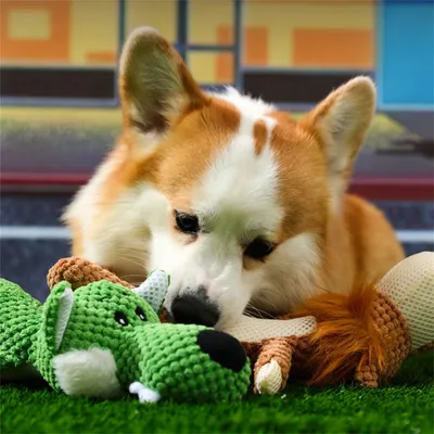 ZenPets Jouet en peluche pour grignoter et interagir