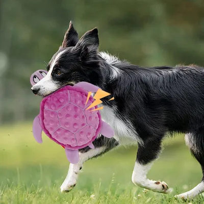 Jouet en peluche pour chien - Tortue, grinçant