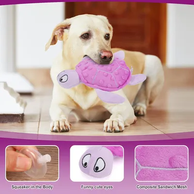Jouet en peluche pour chien - Tortue, grinçant