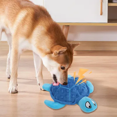 Jouet en peluche pour chien - Tortue, grinçant