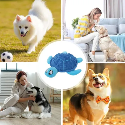 Jouet en peluche pour chien - Tortue, grinçant